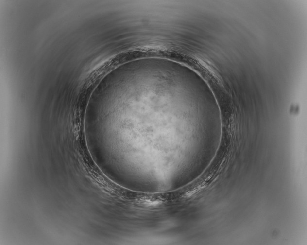 X0000090781015200707201519