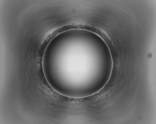 X0000090781016200707201519