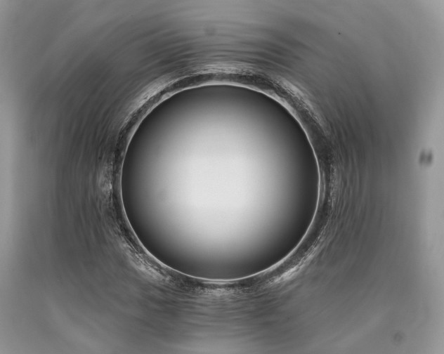 X0000090781017200707201519