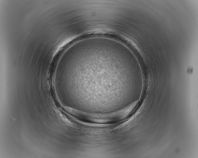 X0000090781018200707201519