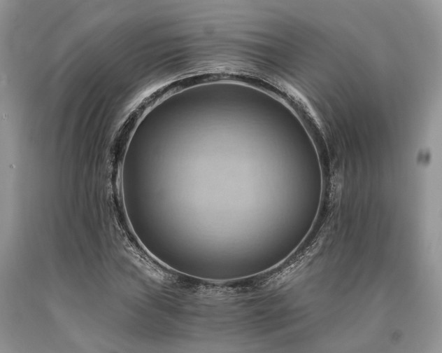 X0000090781019200707201519