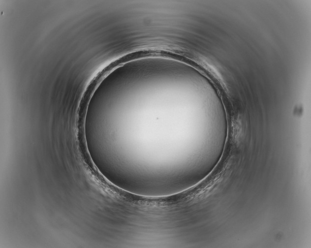 X0000090781020200707201519
