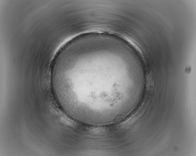 X0000090781021200707201519