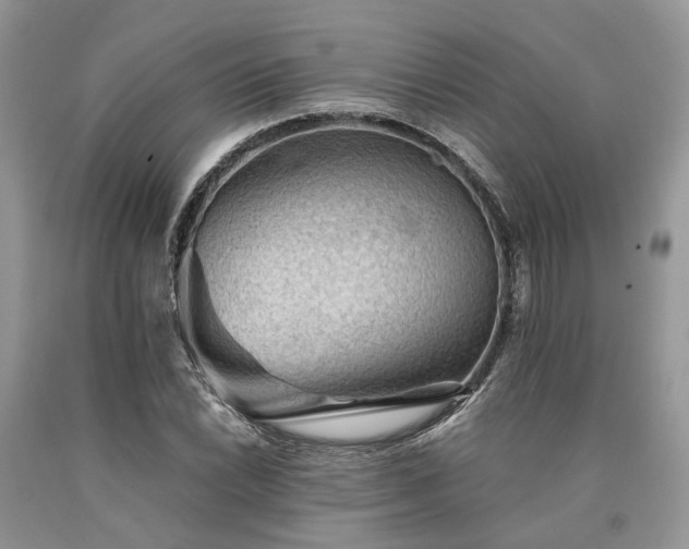 X0000090781022200707201519
