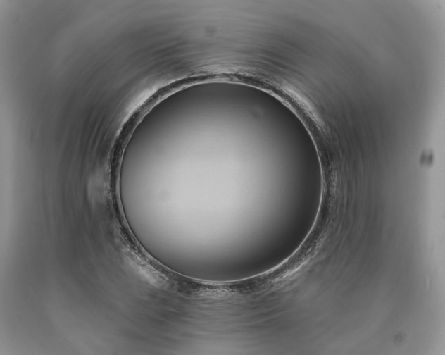 X0000090781023200707201519