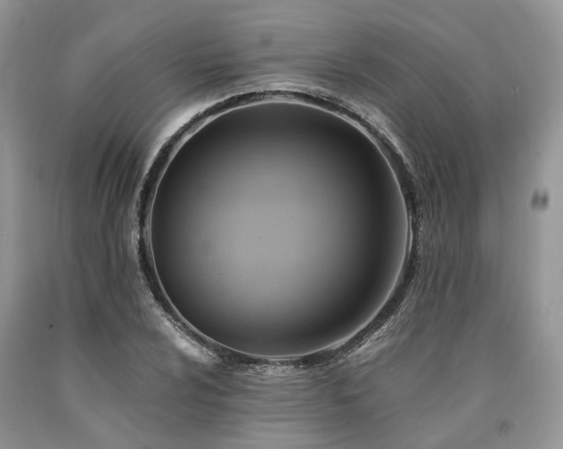 X0000090781024200707201519