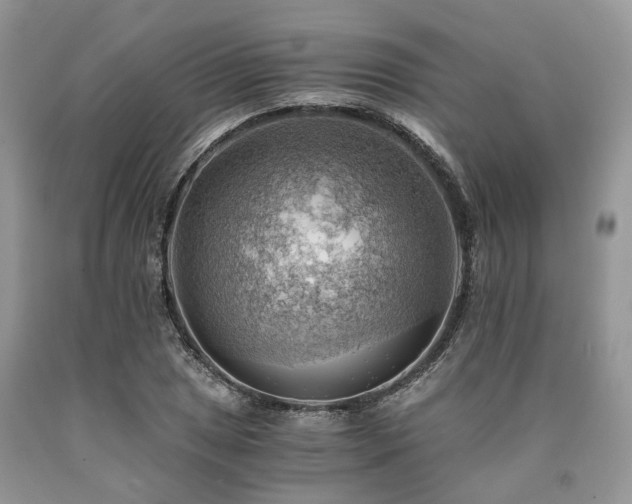 X0000090781025200707201519