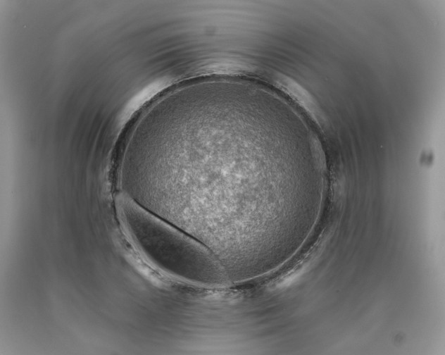 X0000090781026200707201519