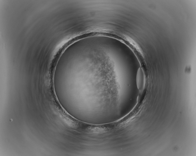 X0000090781027200707201519