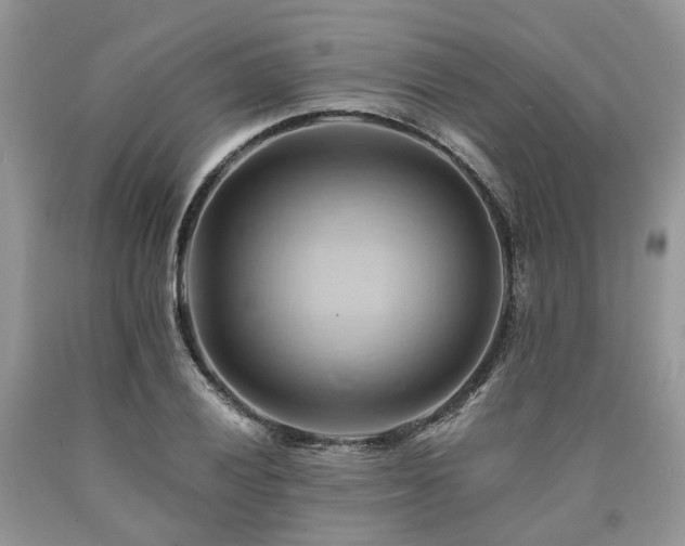 X0000090781028200707201519