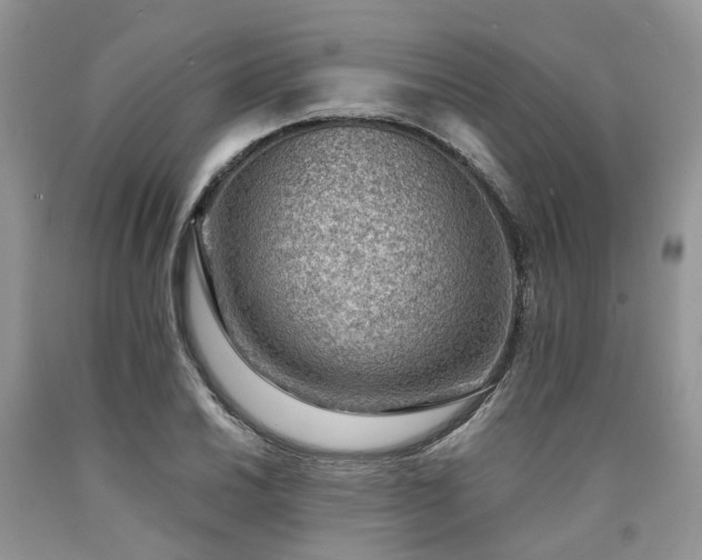 X0000090781030200707201519