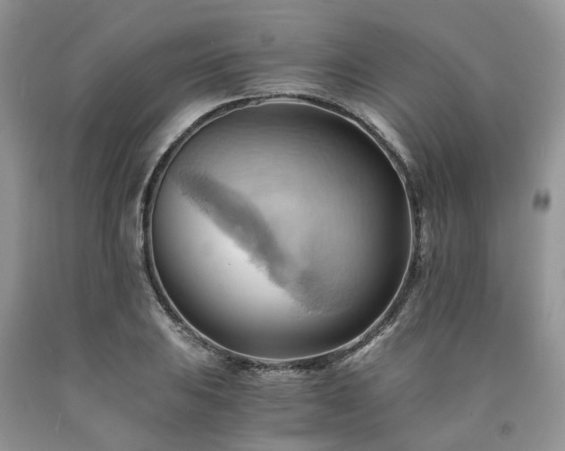 X0000090781031200707201519