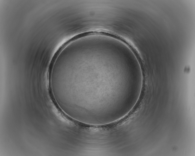 X0000090781032200707201519