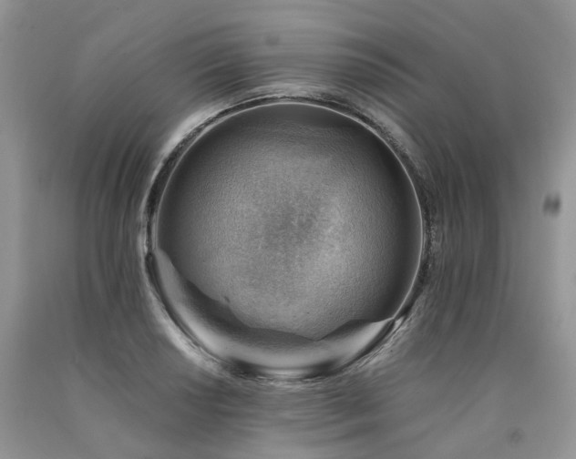 X0000090781034200707201519