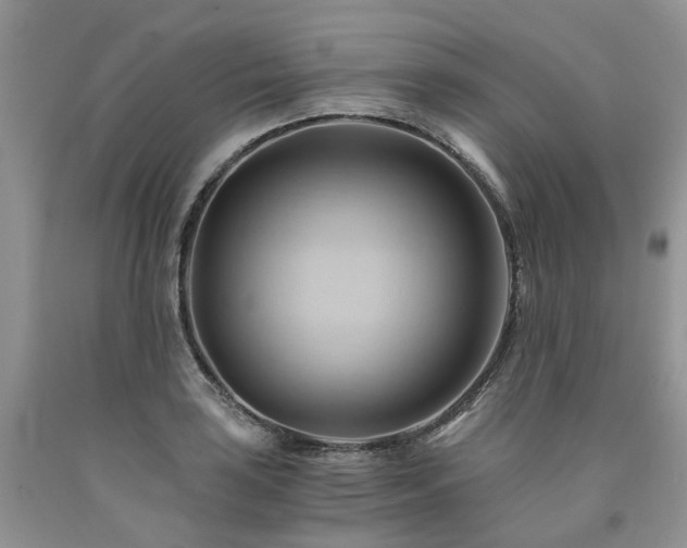 X0000090781035200707201519