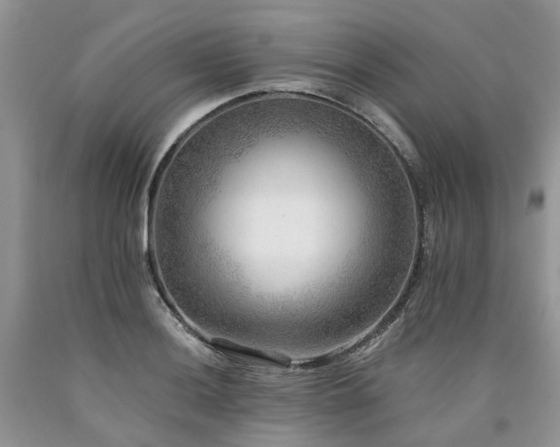 X0000090781036200707201519
