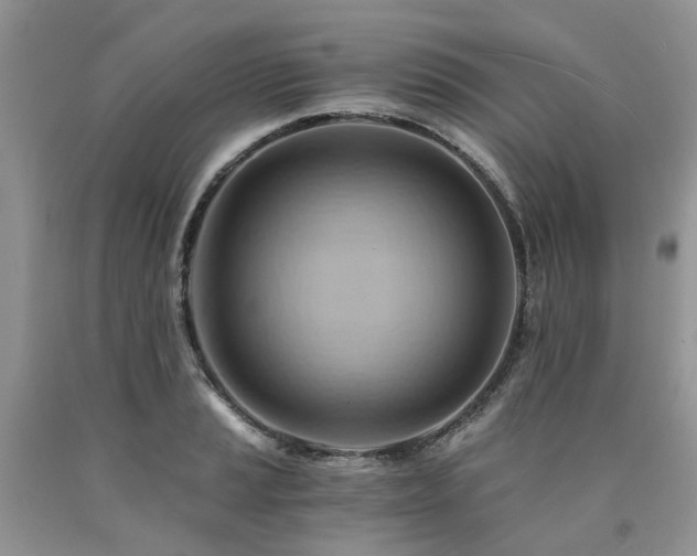 X0000090781037200707201519