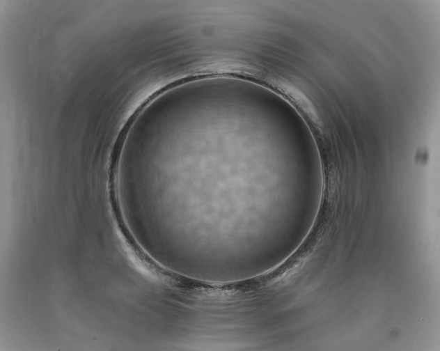 X0000090781039200707201519