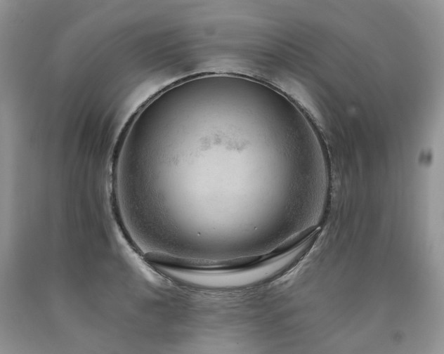 X0000090781040200707201519