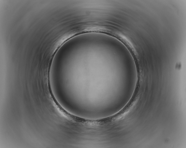 X0000090781041200707201519