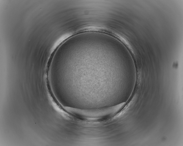 X0000090781042200707201519