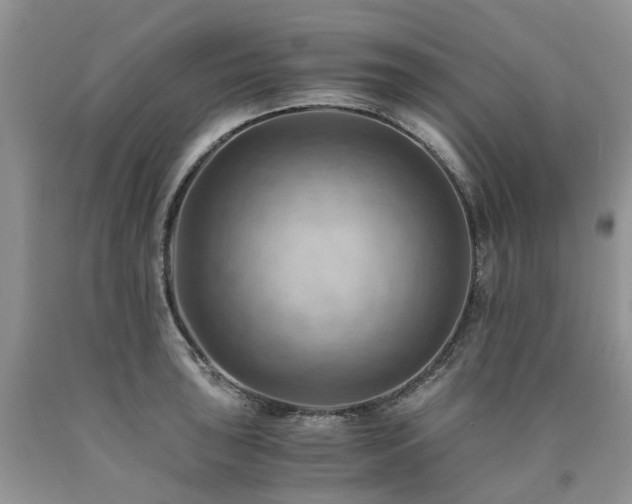 X0000090781043200707201519