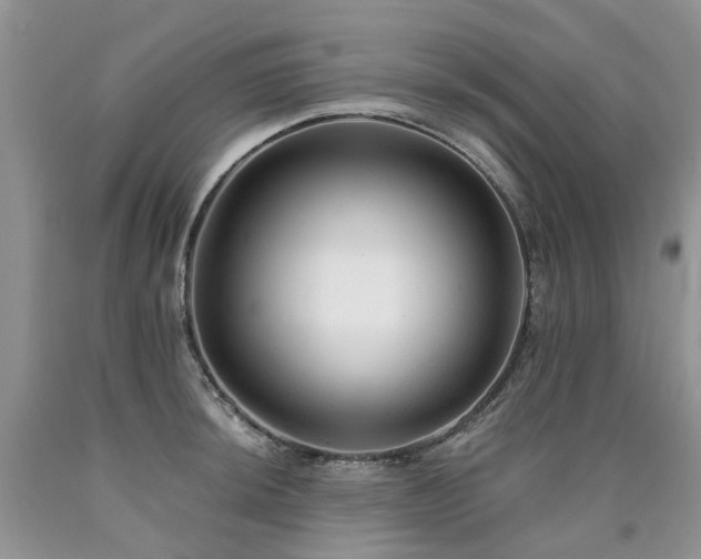 X0000090781044200707201519