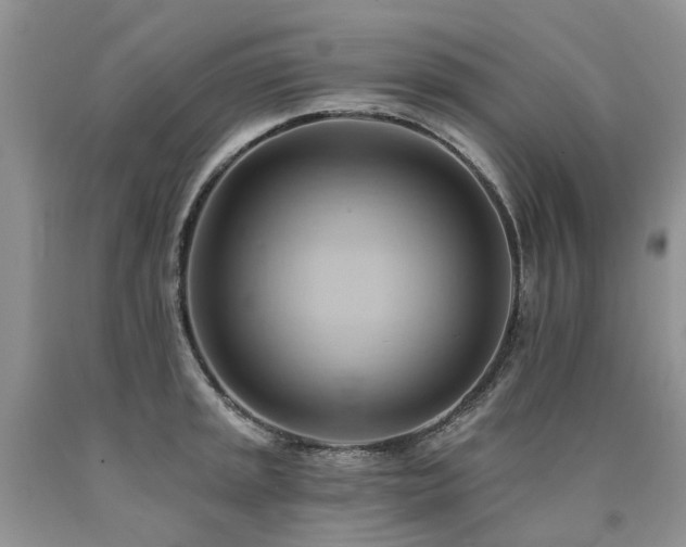 X0000090781045200707201519