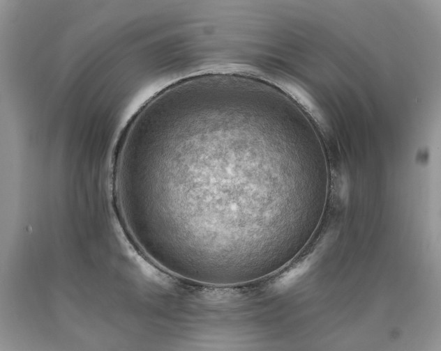 X0000090781046200707201519
