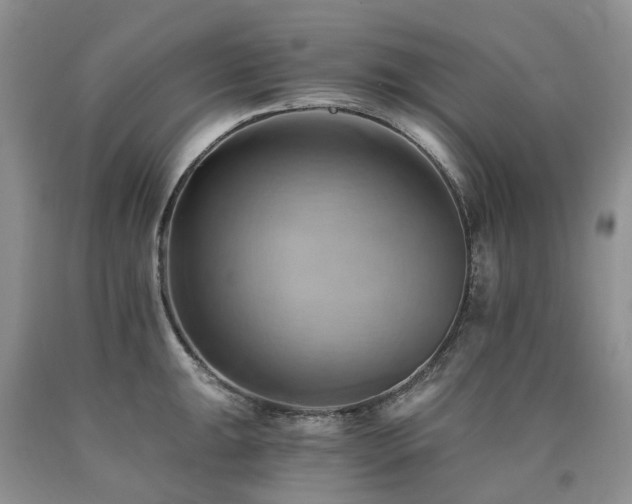 X0000090781047200707201519