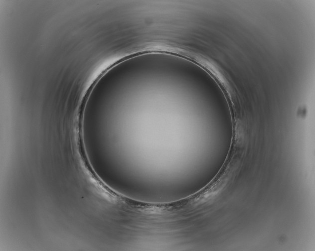 X0000090781048200707201520