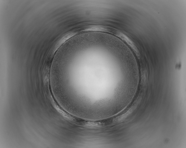 X0000090781049200707201520