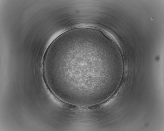 X0000090781050200707201520