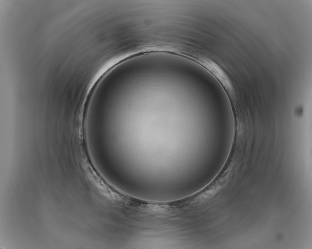 X0000090781052200707201520