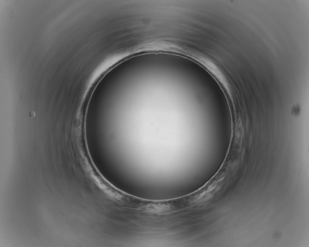 X0000090781053200707201520