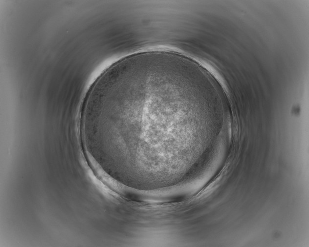 X0000090781054200707201520
