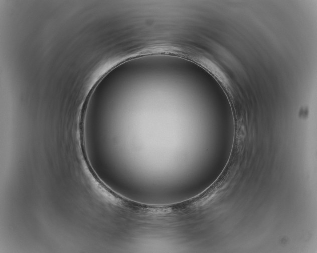 X0000090781055200707201520