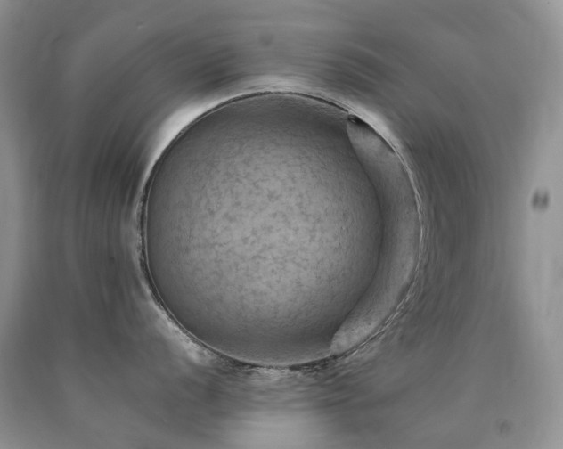 X0000090781056200707201520