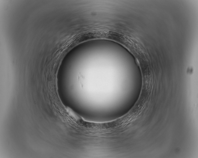 X0000090781057200707201519