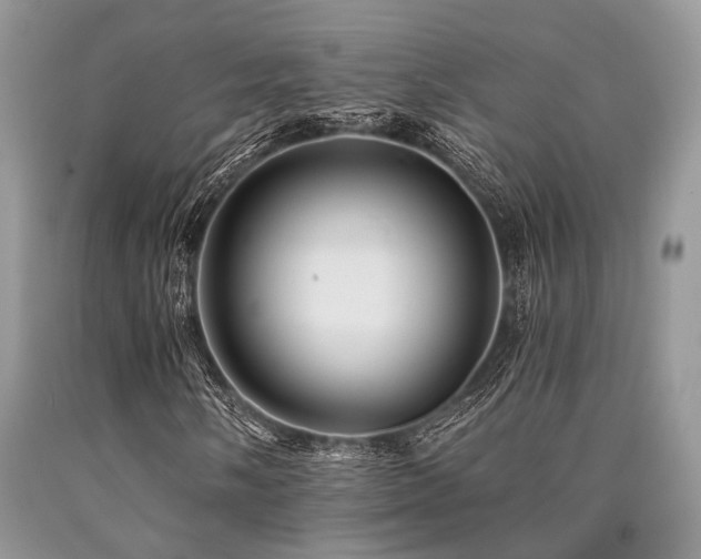 X0000090781058200707201519