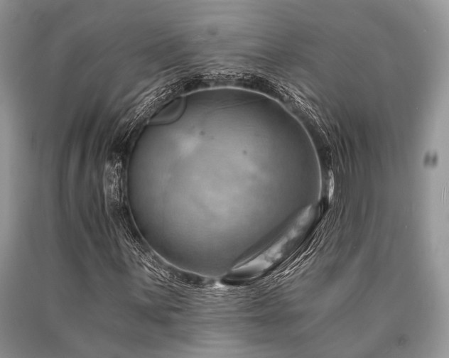 X0000090781059200707201519
