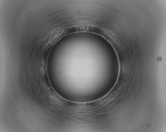X0000090781060200707201519