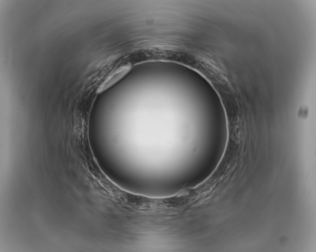 X0000090781061200707201519