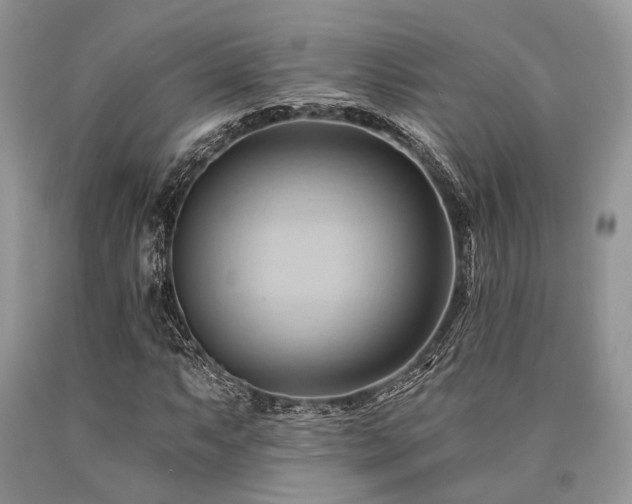 X0000090781063200707201519
