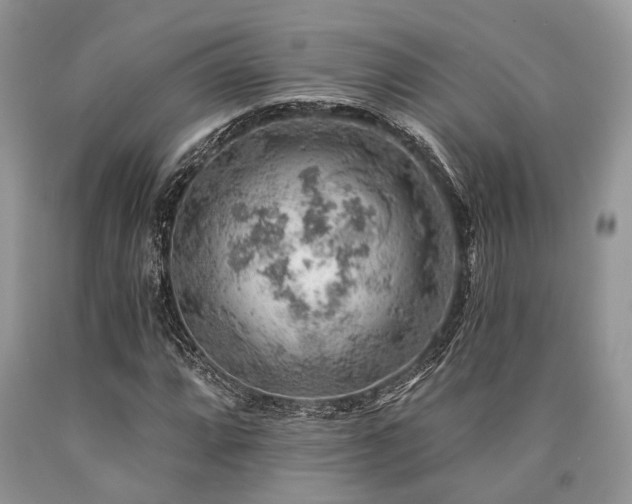 X0000090781064200707201519
