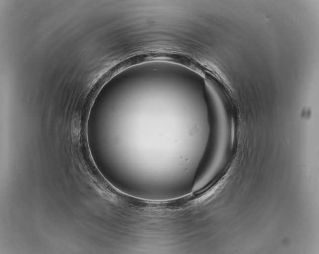 X0000090781065200707201519