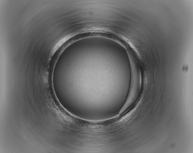 X0000090781066200707201519