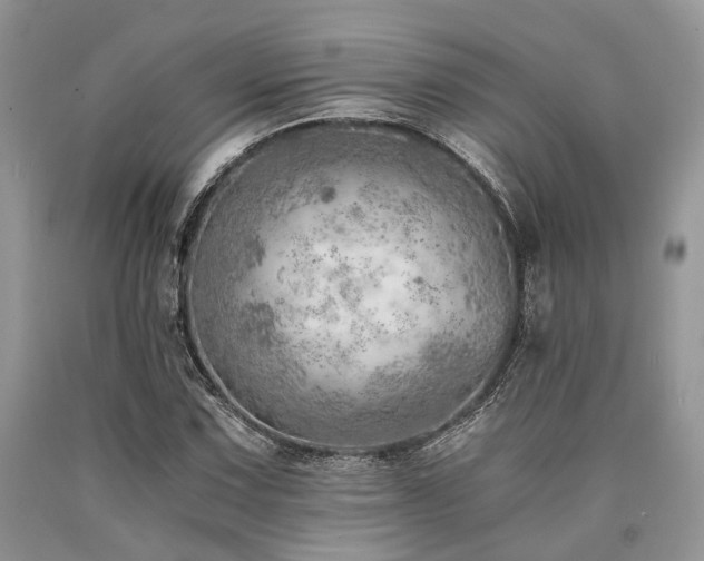 X0000090781067200707201519