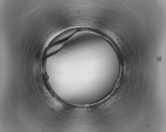 X0000090781069200707201519
