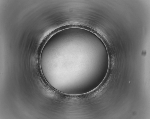 X0000090781070200707201519